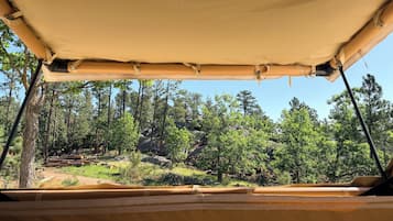 Vista desde la propiedad