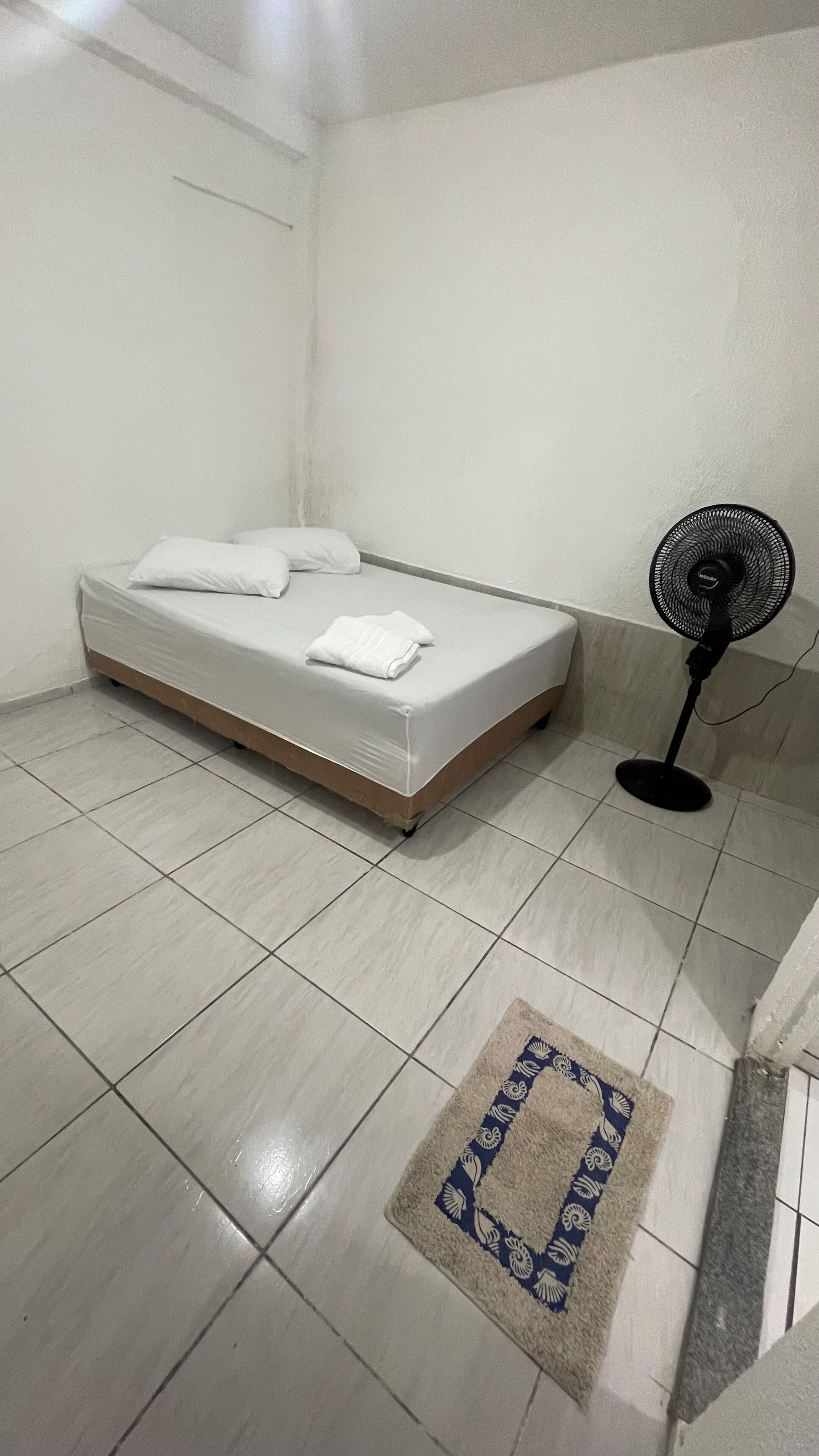 A room with a bed, a standing fan, and a patterned rug.