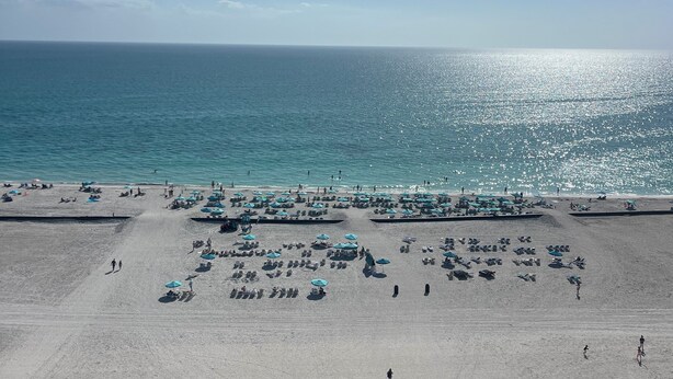 Een strand met parasols en ligbedden, palmbomen en een heldere lucht.