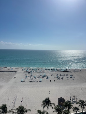 Uma praia com guarda-sóis e espreguiçadeiras, palmeiras e céu claro.