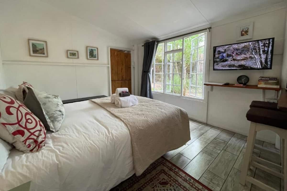 A bedroom with a bed, a TV, a window, and a door.