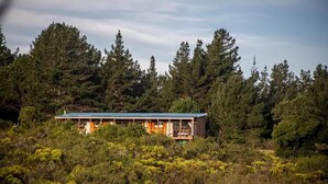 A cabin with a deck, surrounded by dense forest and undergrowth. - Equleni Farm (Knysna)