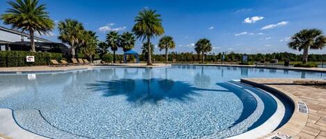 Une piscine aux eaux cristallines, à bords incurvés, entourée de palmiers et surplombée d’un ciel dégagé.