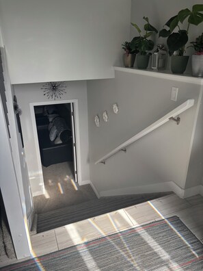 A staircase with a handrail, a door leading to a closet, and a shelf with potted plants.