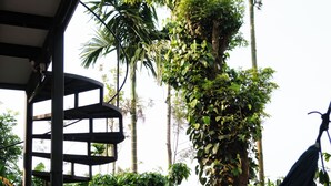 A hammock under a covered area with a view of a large tree and surrounding greenery.