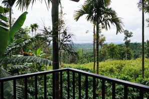 A lush green landscape with tall palm trees and dense foliage.