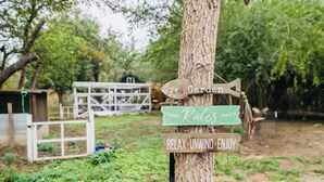 Uma árvore com placas que indicam um jardim, regras e a mensagem para relaxar, descontrair e aproveitar.