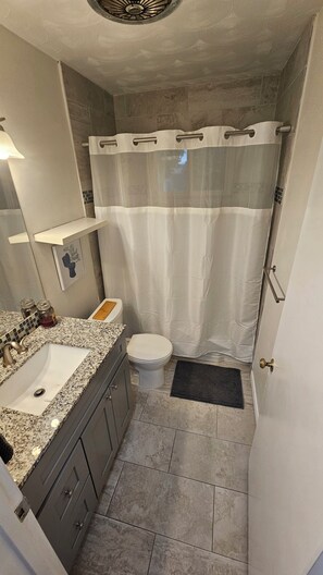 Une salle de bain avec un lavabo, des toilettes, un rideau de douche et un petit tapis.