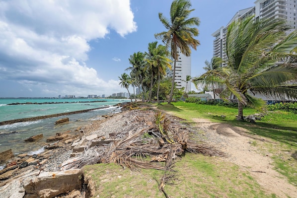 A coastal path with palm trees, a beach, and a building in the background. - Villa Playa - Beach & Pool Apartments (San Juan)