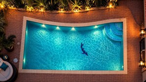 A rectangular swimming pool with a dolphin mosaic, surrounded by a brick wall and illuminated by string lights. - Tropical 3-Bedroom Villa with Pool Next to the Jan Thiel Salt Flats (Willemstad)
