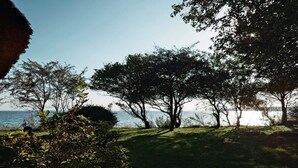A grassy area with trees and a view of the sea. - 4 Star Holiday Home in Faaborg (Faaborg)