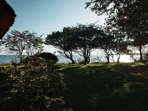 A grassy area with trees and a view of the sea. - 4 Star Holiday Home in Faaborg (Faaborg)
