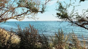 A coastal landscape with a view of the sea, rocky shoreline, and dense vegetation. - 4 Star Holiday Home in Faaborg (Faaborg)