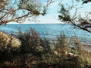 A coastal landscape with a view of the sea, rocky shoreline, and dense vegetation. - 4 Star Holiday Home in Faaborg (Faaborg)