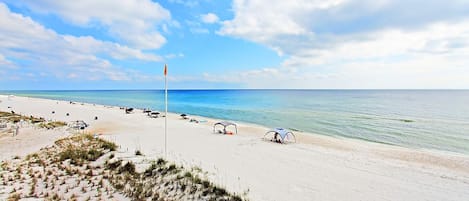 Condo, varias camas (Pinnacle Port C1-503) | Playa | En la playa