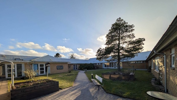 A courtyard with a paved walkway, benches, and a large tree. - 4 Star Holiday Home in Grenaa (Grenaa)