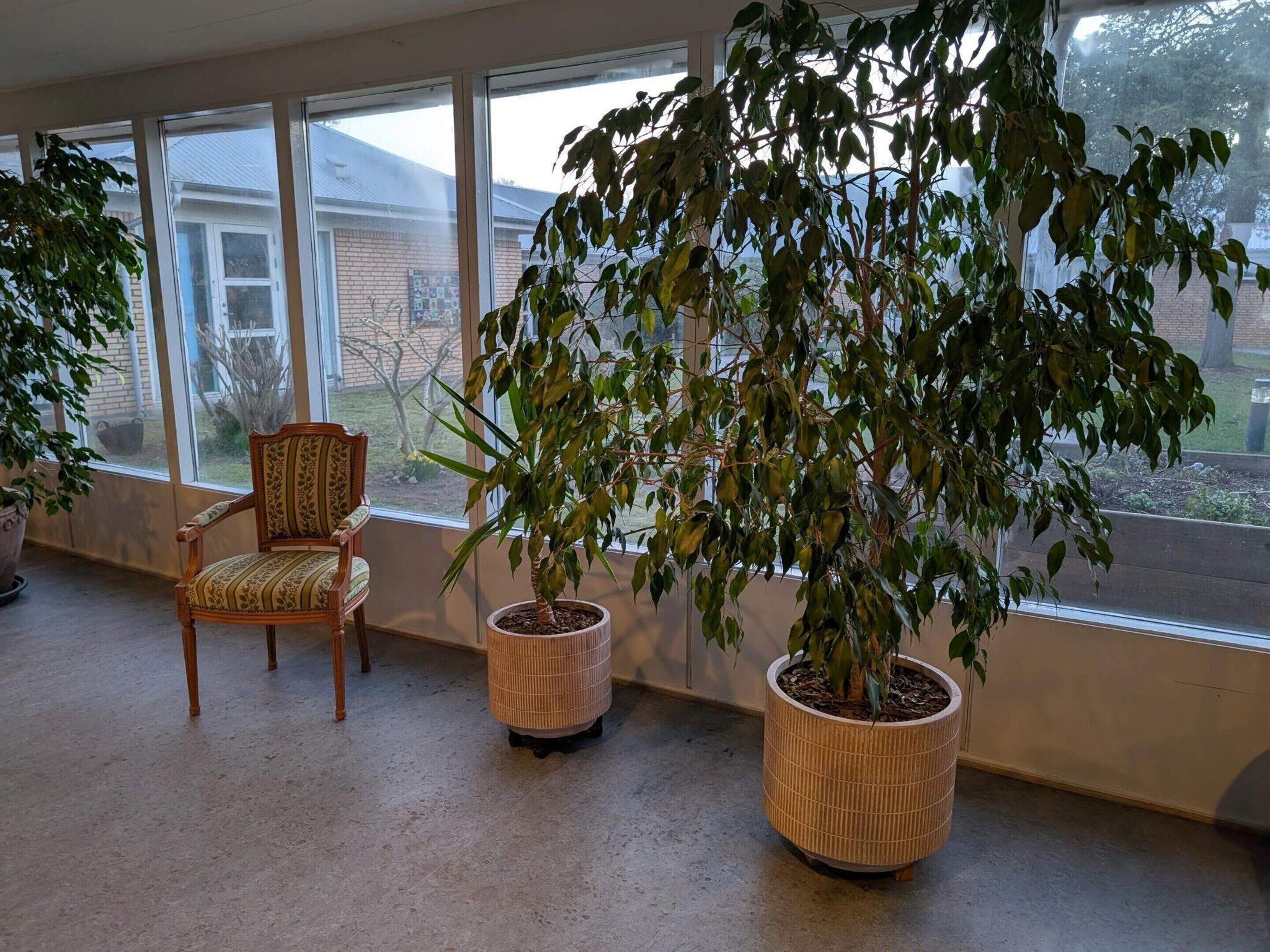 Huis | Interieur