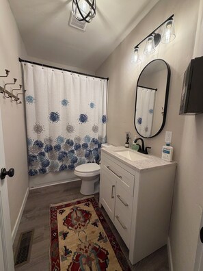 Shower, hair dryer, towels - Downtown Retreat (Durango)