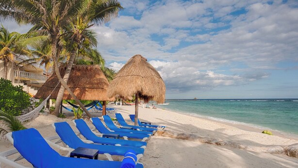 A beach with thatched umbrellas, blue lounge chairs, and palm trees. -  Charming Casita Beach and Pool Access 2 king beds (Q.R.)