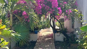 A pathway leading through a garden with bougainvillea and palm plants. -  Charming Casita Beach and Pool Access 2 king beds (Q.R.)