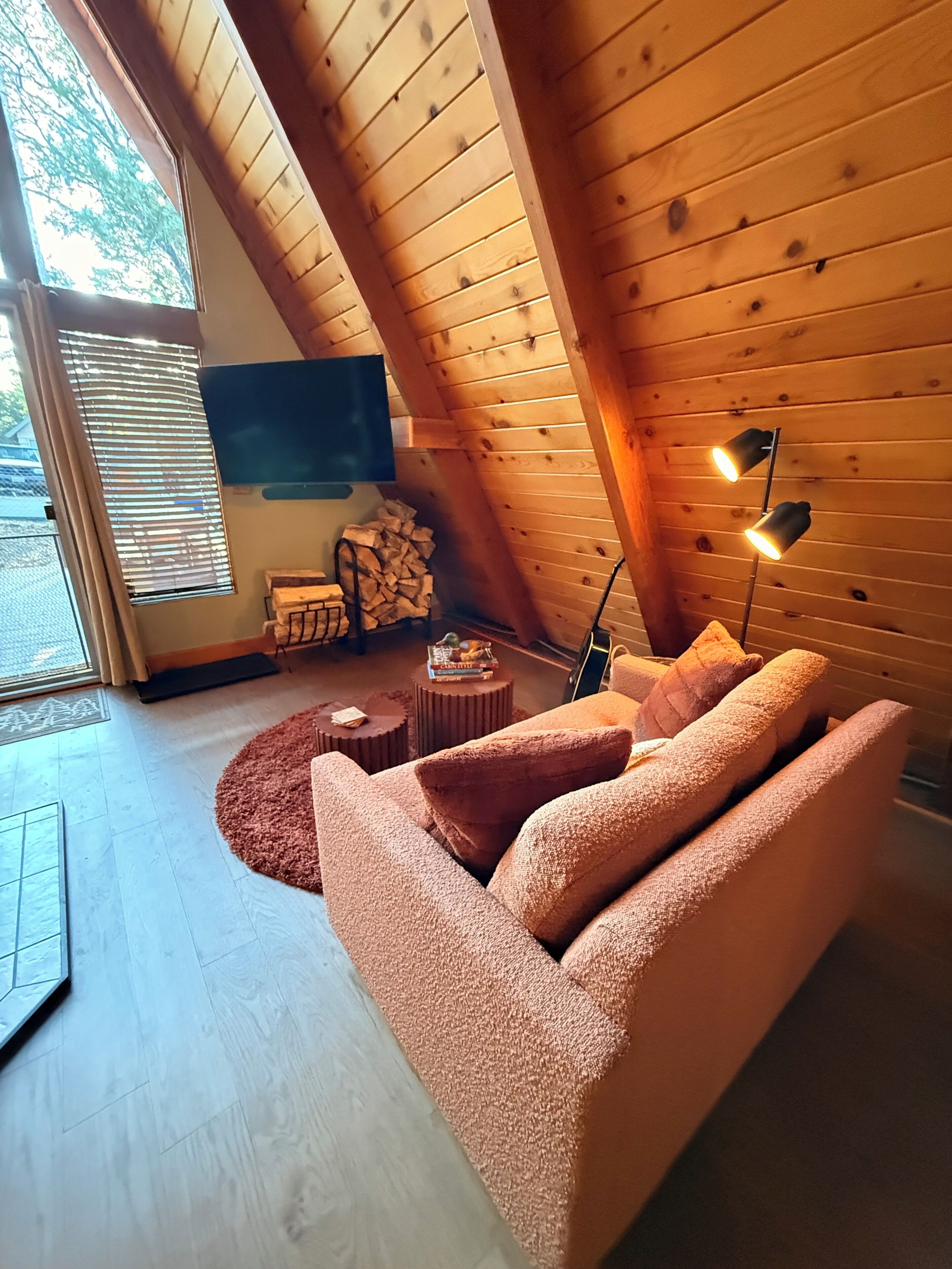 Smart TV, fireplace, books