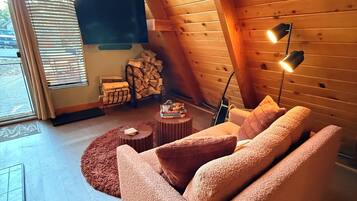 Smart TV, fireplace, books