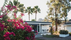 A modern house with a glass door, a patio with two chairs, and a garden with bougainvillea. - Studio Style Single Room Cottage...Luca's Place (Phoenix)