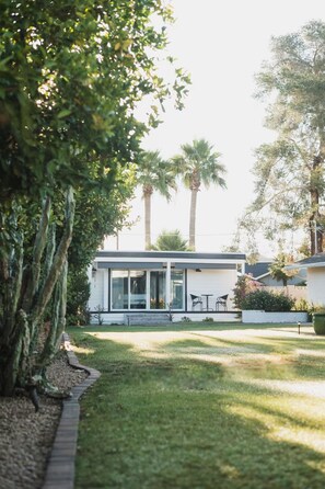 Ein modernes Haus mit einer Terrasse, einem Rasen und hohen Bäumen im Hintergrund.