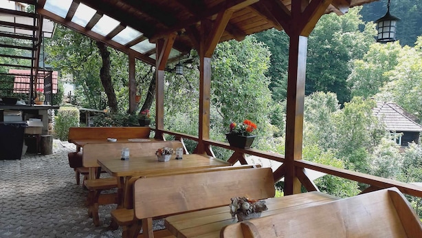 Un espace extérieur aménagé, abrité et doté de bancs et de tables en bois, entouré d’une végétation luxuriante et offrant une vue sur une zone boisée.