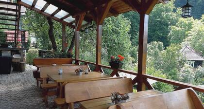 Accommodation in Sovata-Băi - peace, comfort and a view of the forest!