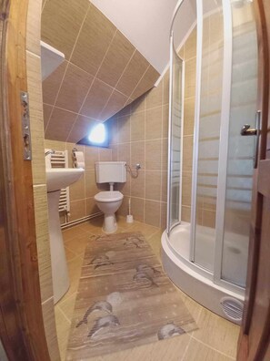 Ein Badezimmer mit Dusche, Toilette, Waschbecken und Teppich.