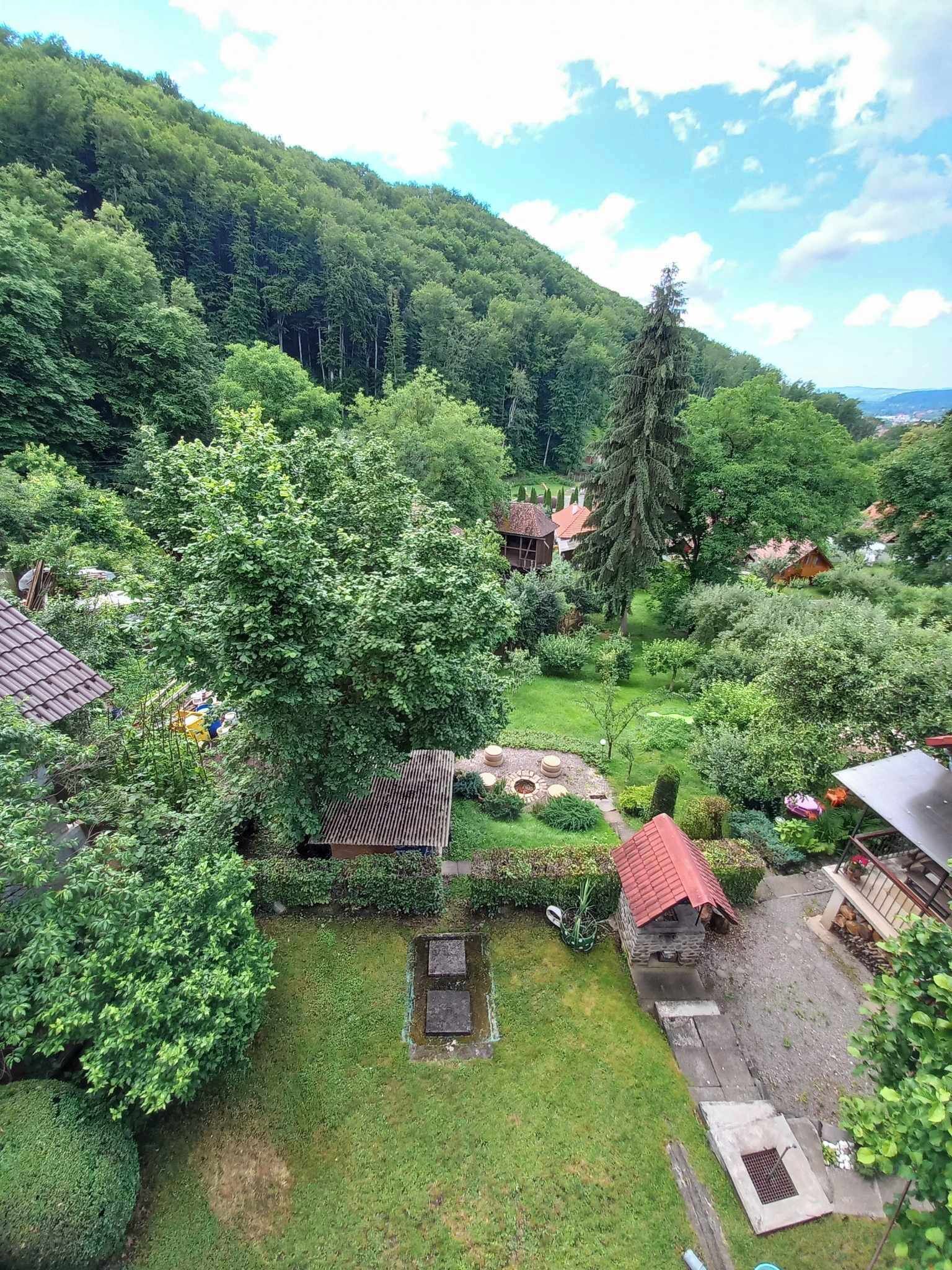 A rural village with traditional houses, a communal garden, and a forested hillside.