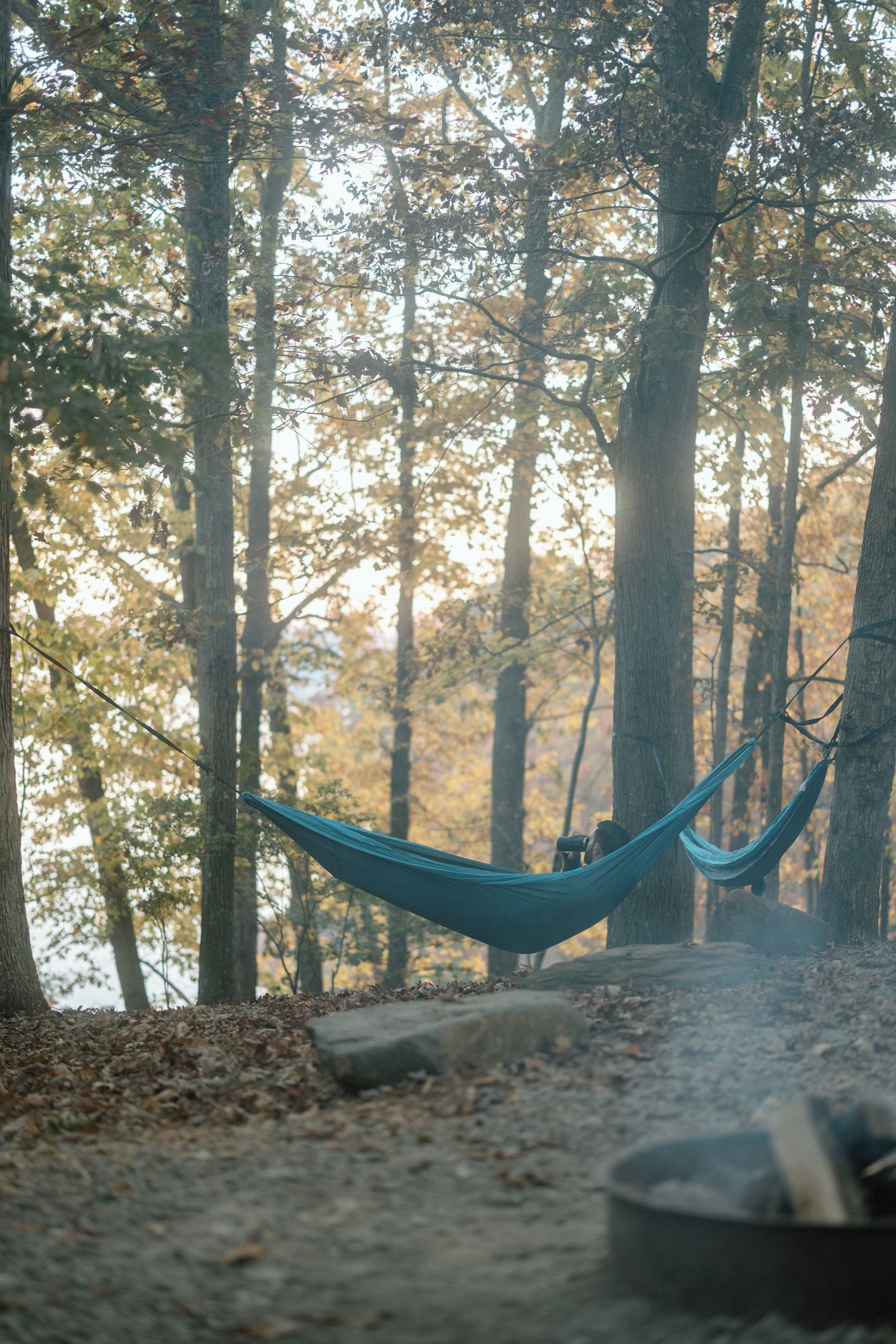 A hammock in a forested area with trees and a body of water in the background.