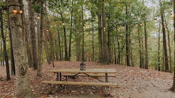 A picnic table in a forest with trees and a string of lights.