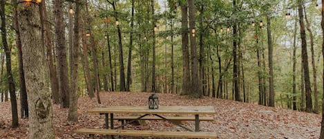 Una mesa de picnic en un bosque con árboles y una guirnalda de luces.