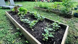 Un jardín con bancales elevados, césped y un pabellón.