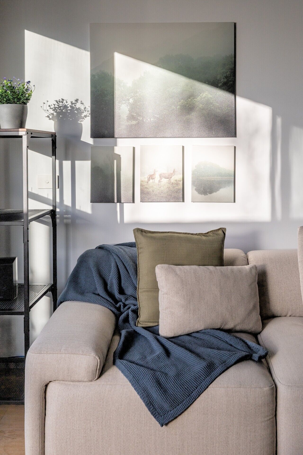 TV, books, stereo