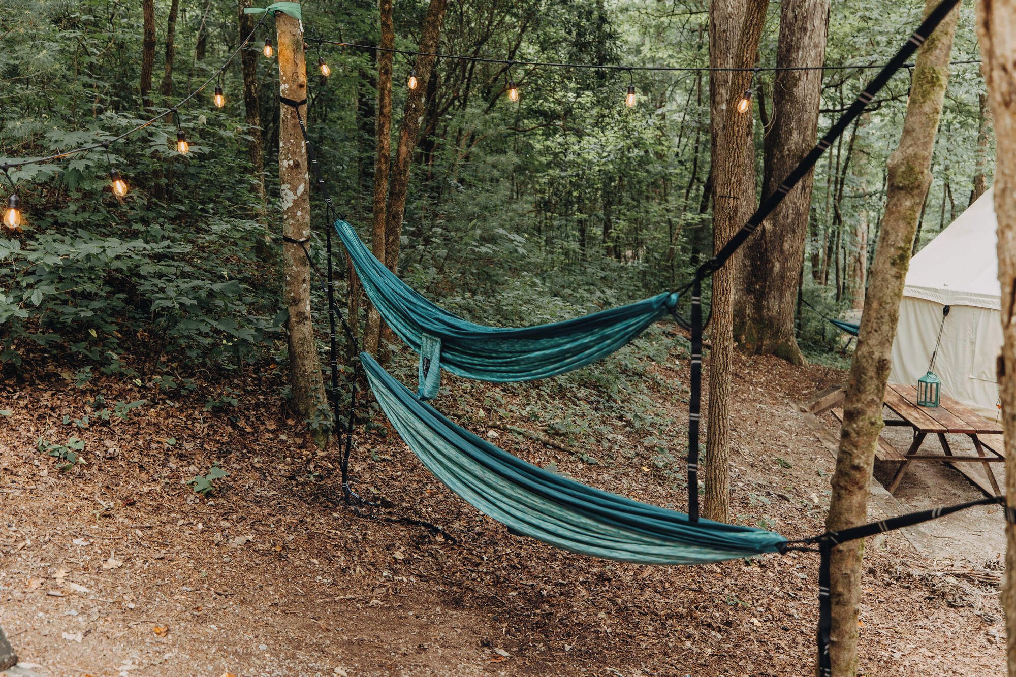 A hammock suspended between trees in a forested area with a tent and a picnic table nearby.