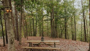 Una mesa de picnic en un bosque, con árboles y una guirnalda de luces.