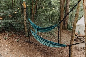 Un'amaca sospesa tra gli alberi in una zona boschiva, con una tenda e un tavolo da picnic nelle vicinanze.