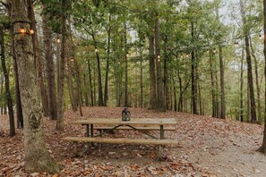 Un tavolo da picnic in una foresta, con alberi e una ghirlanda di luci.