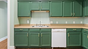 Une cuisine avec des meubles de couleur verte, un lave-vaisselle blanc et un plan de travail beige.