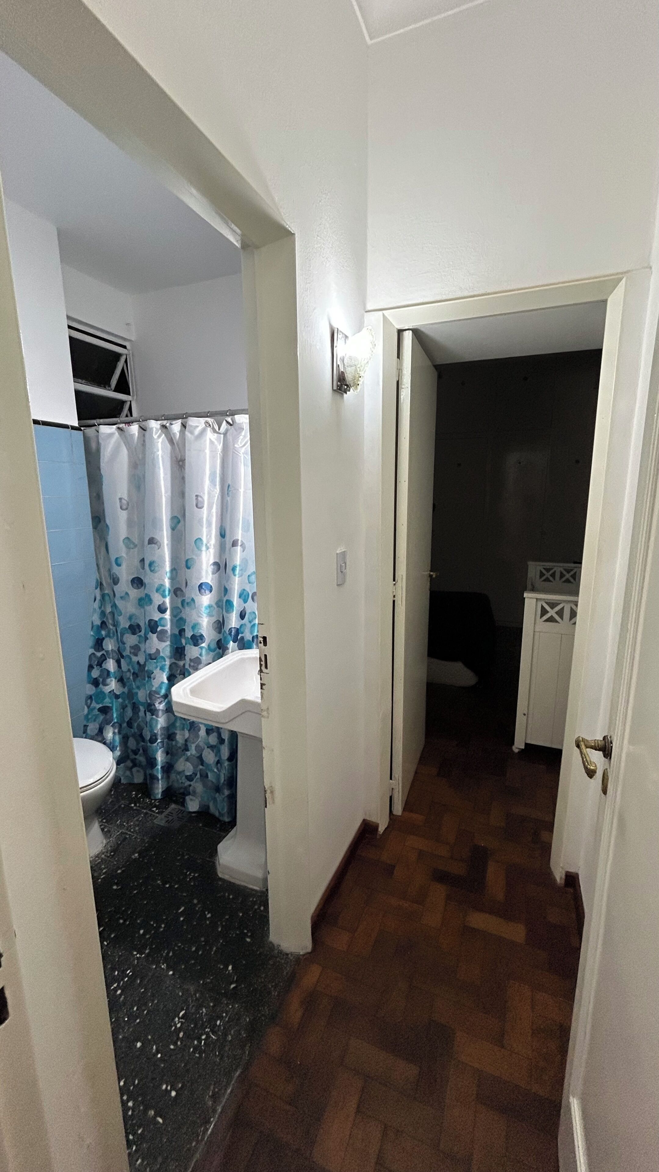 Hair dryer, bidet, towels, soap