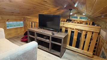 Smart TV, video games, books