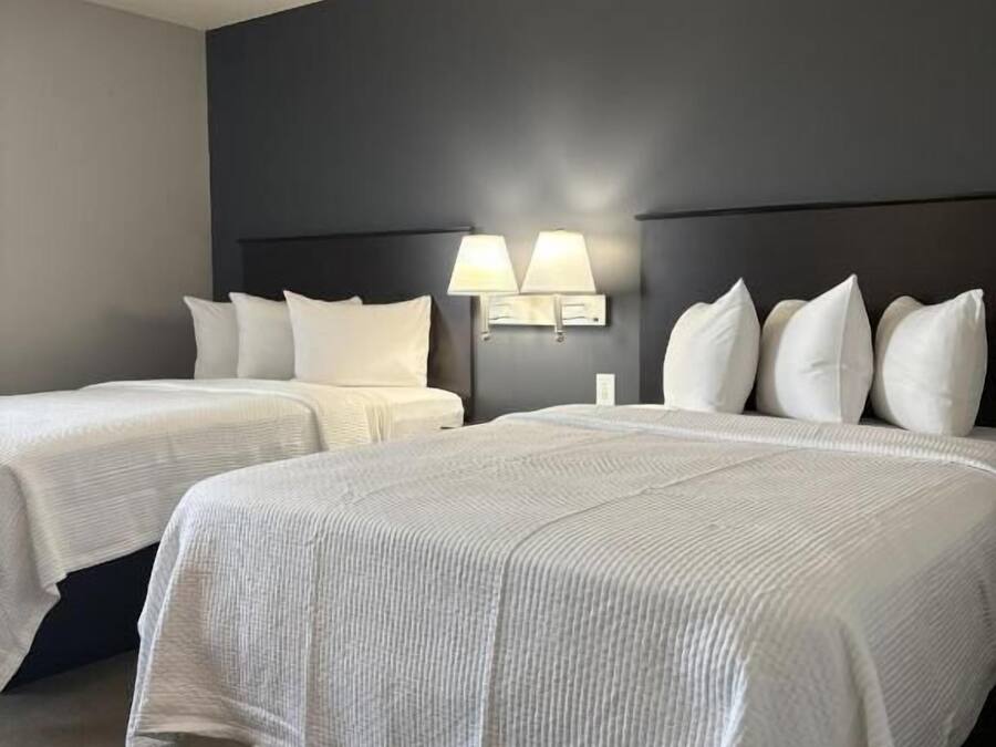 Een hotelkamer met twee bedden, een donker hoofdbord en twee wandlampen.