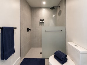 Une salle de bain moderne avec une douche à parois de verre, des toilettes et un porte-serviettes.