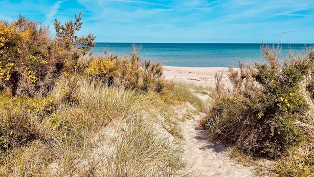 Ein Strandweg, der zum Meer führt, bei blauem Himmel.