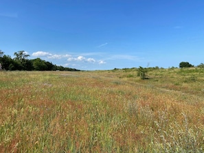 A wide-open field with a clear sky and distant trees. - 4 Star Holiday Home in Vaeggerlose (Vaeggerlose)