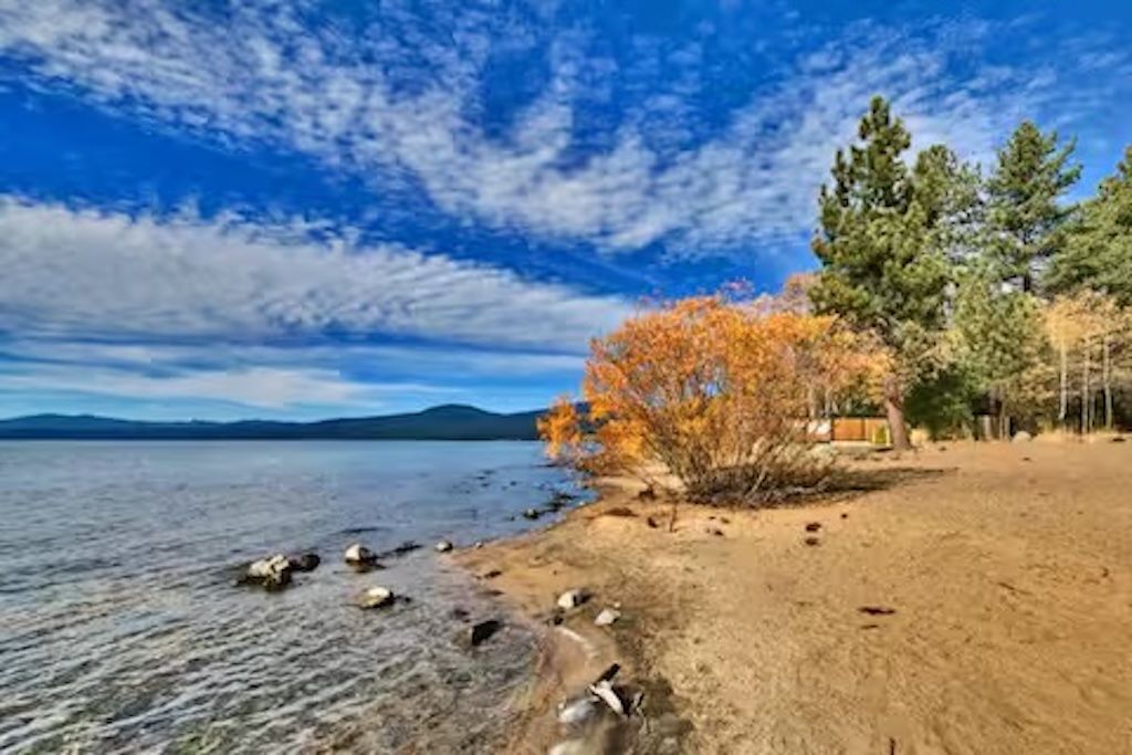 A lakeside view with a sandy beach, trees, and a clear sky.