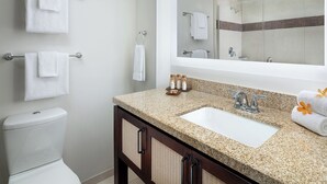 A bathroom with a white toilet, a sink with a granite countertop, and a large mirror.